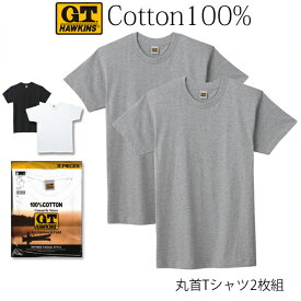 GUNZE G.T.HAWKINS メンズ クルーネックTシャツ 2枚組 綿100％ 天竺素材 丸首 グンゼ GTホーキンス ＃Q1 01-HK10132
