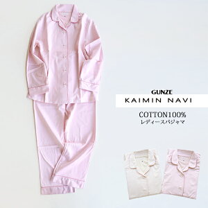 yő100|CgobNzyz GUNZE KAIMIN NAVI fB[X pW} ɗD Rbg100pc ㉺Zbg q O[ ir01-GL2500