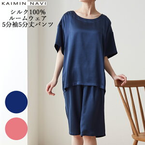 yő100|CgobNzyzGUNZE KAIMIN NAVI fB[X VN100 [EFA 55pc v~AȌ򊴂Ɣ O[ ir JC~ir 01-GL1993