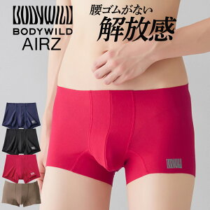 yő100|CgobNzy[֑zGUNZE BODY WILD AIRZ Y GA[Y{NT[pc OƂ ŜȂ CUT OFF O[ {fBCh JbgIt W4Q4 01-BWY900D[M 1/4]