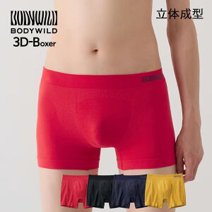 yԌSALEzyN[|Ώہzy[֑zGUNZE BODY WILD 3D-Boxer Y ̐^ {NT[pc n O[ W4Q4 01-BWS851A[M 1/4]