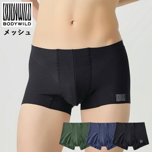 yő100|CgobNzy[֑zGUNZE BODY WILD AIRZ Y GA[Y bV {NT[pc OƂ CUT OFF O[ W4Q4 01-BWY909D[M 1/4]