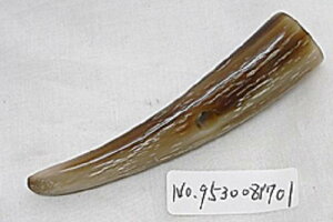 _bt{^E95mmAiijBx[WiVRFjE95mmE{I_Bґ̍ō_bt{^BíB{B䂤pPbgցB