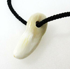 ANZT[p[cAʁBFiVRFjBcBTCY47×20m/mE10.5m/mEŘa6m/mBR͕tĂ܂B̉摜͓̂̂łB{B䂤pPbg