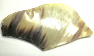 ށAmMuhiVRFjBvpB{I_E157.5m/mEcm/mE3m/m`5m/mEd101gB̉摜͓̂̂łiʂƊOʁjB{B䂤pPbg