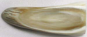 ށBʃJbgށit̔jBBvpiEpjBɏ㔒iVRFjE80m/mE31m/mE11m/mEcE{I_pEEʃJbgށBO̉摜