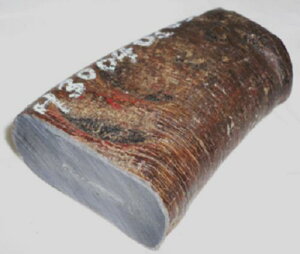 pAEtJugBvpBclߍρE92m^mE̖،65×33m^mE،55×34.5m^mE207OB{i{ŐؒfjBzցB