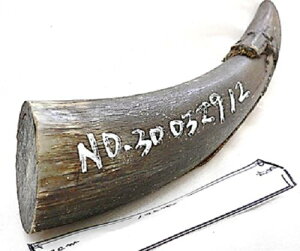 pB^aޗBvpitjB{I_̊pBA19cmEؒfʁA4.6×4.1cmEdA169gB쐼CpBzցB