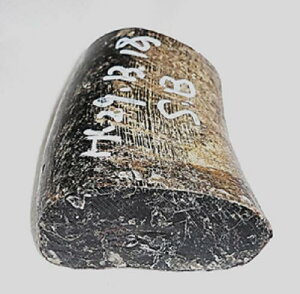 pAEtJugށBSBV[YBvpBiVRFjEclߍρE̖،58m^m×29m^mE76m^mE،48m^m×32.5m^mE113gB{BzցB