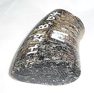 pAEtvpJugށBMV[YBiVRFjEclߍρE̖،59×33m^mE86m^mE،47×33m^mE133gB{BzցB