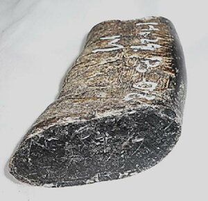 pAEtJugށBMV[YBvpBiVRFjEclߍρE̖،71×33m^mE75m^mE،50×31m^mE162gBH@ݒB{BzցB