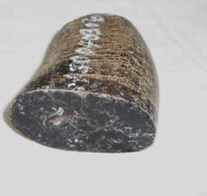 pAEtJugށBvpBiVRFjESBV[YEclߍρB̖،58×34m/mE72m/mE،46×31m/mE114gB{Bzւ̂݁B