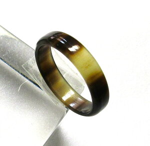 J^ObYAwցE25B傫ȃTCYBVam̉~nf̔iVRFjEOa25m/mEa21m/mE5.5m/mE2m/mEcZ@E{I_pBO̉摜͓̂̂ł