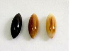 {^E30mmA~^B XiVRFjB1̉iłB{B䂤pPbgցB