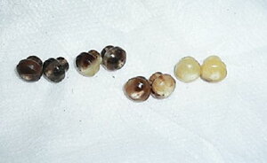 �����i�p�j�{�^���A���t���{�^���B�i�c�����ގg�p�j�T�C�Y15m/m�E����15m/m�E����6.5m/m�E�R���̌a3m/m�BNO1�A���i���[2�j�ENO2�A���i���[3�A4�Ԗځj�ENO3�A�����i�E�[���3�A4�Ԗځj�ENO4�A�x�[