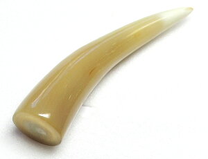 H|ޗApiuhjBvpB91.5m/mEa21.5×20.5m/mEd21gEEɏ uhiVRFjE{I_pB ̉摜͓̂̂łBŌ̉摜́A