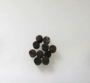 ipjANZT[ޗAuNBANZT[ƂߍݍށBa8m/mE5.38m/m/ZiVRFjE10iZbgj̉iB{B䂤pPbgցB