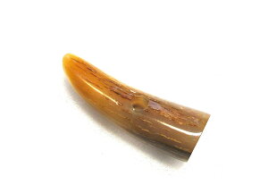 _bt{^E60mmAiijBChFiVRFjE60m/mE،18×18m/mEŘa6m/mB̉摜͓̂̂łB{B䂤pPbgցB