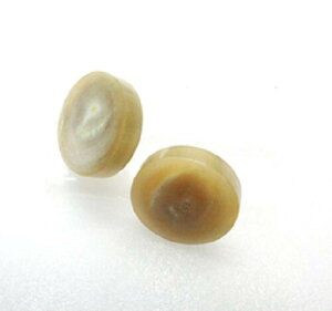 水牛(角)ボタン、足付22。特上ベージュ(天然色)・直径22m/m・厚み9m/m(胴部5m/m・足部4m/m)・芯持ち・本オランダ水牛角。2個の価格です。日本製。ゆうメール便。