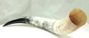 本オランダ水牛角、原角。看板角。プロ用(展示用)、本オランダ水牛・白黒・鏡磨き・長さ、640m/m・切断面80×66m/m・内径72×62m/m・穴の深さ約220m/m・重さ、771g。日本製(小山交易株式会社自