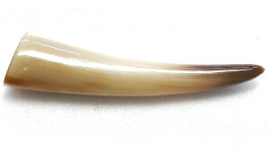 {I_pBprށBANZT[ށBρijEx[WiVRFjEclߍρE̖،19×16m^mE85m^mEd12gB̉摜͓̂̂łBH