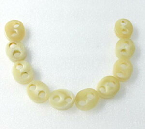 ipjR~Au^@15B^BvpB㔒VRFjEa15m/mEiŘa4.5m/mjEcE{I_pB10iZbgj̉iBR͕tĂ܂B {B䂤