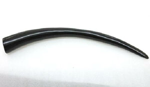 ށE250mmAMwl̃XebLBjME،a27×23m/mBO̉摜͓̂̂łB{B䂤pPbgցB