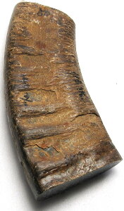 pAEtJugBLLV[YBvpBclߍρB149m^mE̖،67×31m^mE̖،50×32m^mE260gBH@ݒB{B䂤[ցB