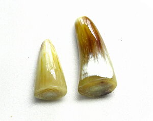 H|ޗAprށi{I_ZpjBvpipjBBpF60mmE،24×18mmE15gAEpF44mmE،21×15mmE8gB̉摜͓̂̂łBH@