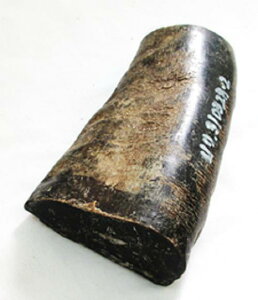 pAEtJugށB130m^mE؂ij67×366m^mE؂(j51×32.5m^mE238gBpƌ̕JbgBH@ݒB{Bzւ̂݁B