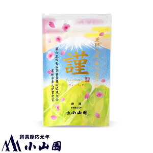 t\i c_ [ނuށveB[obO 2g 15 `bNtܓyszŷΉsz