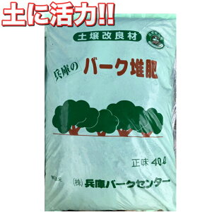 o[N͔ 40bg L@ yǍ vp i Lt jt n͑i@K 엿@K