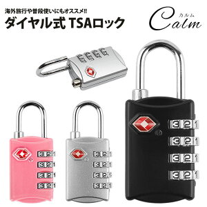 TSAbN 싞_C  4 Ïؔԍ X[cP[X obO `  h~ TSA bN COs