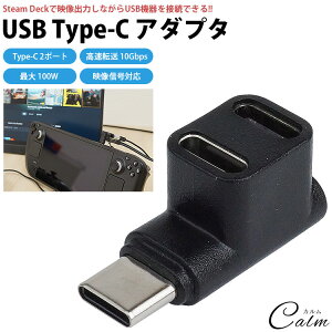 Type-C アダプタ 2in1 PD充電 最大100W USB タイプC コネクタ 急速充電 映像信号対応 データ転送 Steam Deck