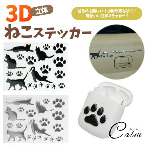  3D XebJ[ L  J[XebJ[  ˂  X[cP[X B  ˂XebJ[ ̃XebJ[ fJ[