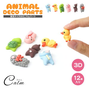 3D fRp[c Aj} 12  fR[Vp[c ʃe[v \t   f nhCh Ntg