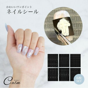 lCV[ fUCV[ lCp[c 6Zbg p[c jAXlC v`v ȒP 킢  V[