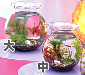 かわいい 水槽の人気商品 通販 価格比較 価格 Com