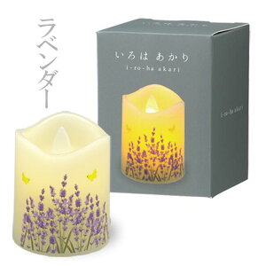 Lh^LED[\N bRpNgTCY b͂ SS b yJ}z~ _ ~ tFCNLh  _