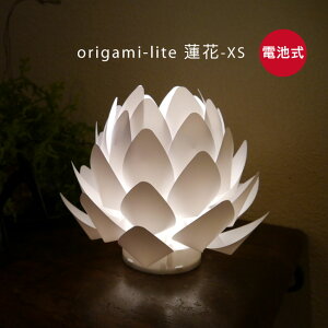 yIE[J[݌Ɍz@̉Ԃ̂bOrigami-lite @ XS ubdryJ}z ~ _ ~   _