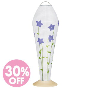 30%off_~ b as b yt@X 01z 傤iR[hXEdrj b ~ ~傤 _񓔍s ~ ~     _ysmtb-TKz