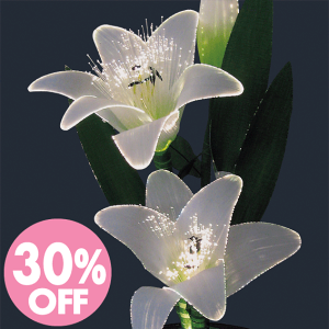 30%off_~jsiǂjLED ~iX [bt@Co[~ ~傤 _񓔍s ~ ~@    _ysmtb-TKz