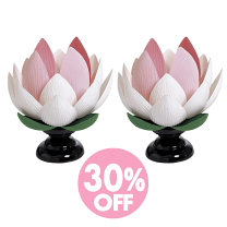 蓮華灯 1対 新品同様 商談中!