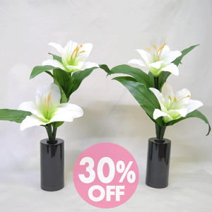 30%off ȃGlEd΍􁡃_~jsiǂj~iXER[hX [biΓj~ ~傤 _񓔍s ~ ~@    _ysmtb-T