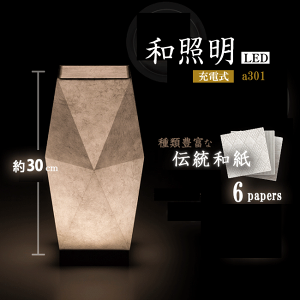 ܂as b ~ b a301LED aƖ [d~ ~傤 _񓔃_ e[u a s ~    
