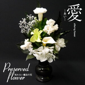 vU[uht[EvU[uhԁyz ??dpE #3001yԁzyԁzy{ԁzyz05P30May15