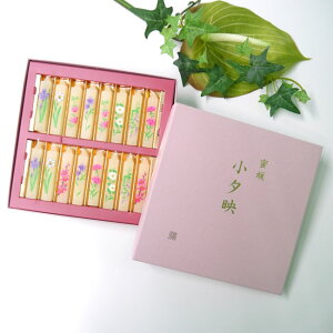 ԊG薨XC blG܁X7̉ bXC y[fz16{/7A\[gijy낤zyE\Nzyz Zbg fs2gm