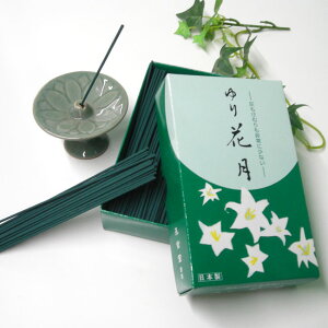 DނɏȂy Ԍz ipoljyEzyEzypzy~zyފ݁zyQz