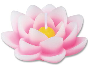 【2017年5月1日発売】■ご進物用|【清蓮灯】せい・れん・とう|蓮の花の蝋燭大小4個・陶器のお皿1個【カメヤマ】【お盆】【進物】仏具ろうそくモダン