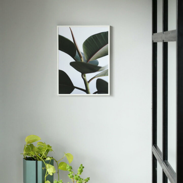 楽天市場】Paper Collective ポスター 30×40 50×70 Green home 02 